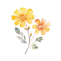 Fototapeta na wymiar cute yellow flowers watercolor. cartoon illustration. hand painting