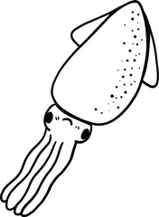 illustration of squid
