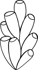 hand holding a plant, coral