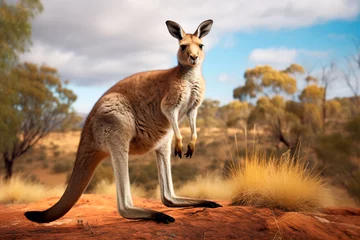 Deurstickers A beautiful kangaroo in the savannah. Portrait of an animal in its environment © Uliana