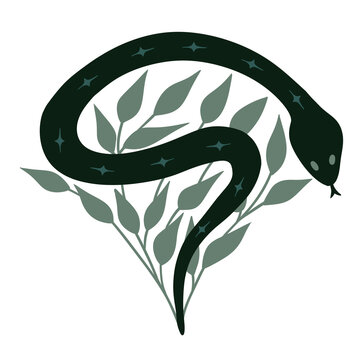 Hand drawn illustration of black snake on sage green background with forest leaves leaf. Witch witchcraft mystic occult boho design, teal grey esoteric gothic halloween print serpent scallop art.