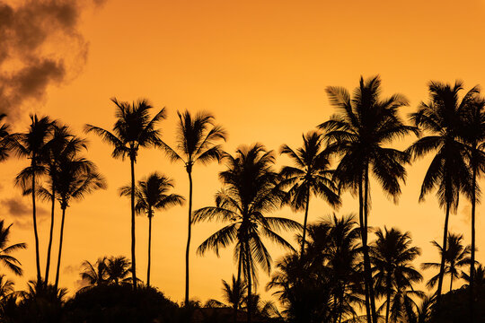 Sunset Brasilien