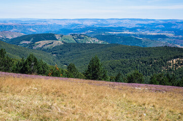 Paysage du Mont-Aigoual, Gard, Cévennes