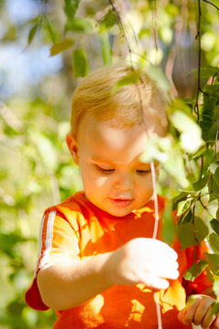 cute blond little boy on nature among bearch foliage