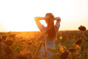 young woman in evening sunlight in a sunflower field at summer sunset, girl holding hands on hair standing back to the camera, relaxation on nature