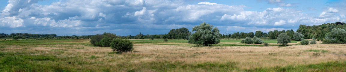 Fototapeta na wymiar Extra large panoramic view over the dry heather with colorful vegetation of the Borchbeemden nature reserve, Diest, Belgium