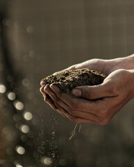 soil for growing vegetables, agriculture