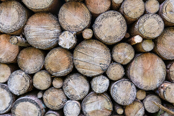 view of pile of wooden logs in the mountains