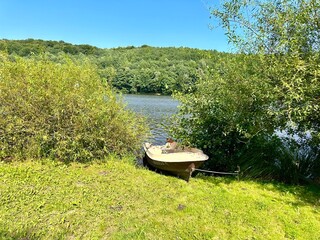 Fototapeta na wymiar A rowing boat is moored on a grassy bank among green trees on a sunny summer day against a forest background. An empty boat on the shore of a lake in the midst of beautiful green nature on a sunny day