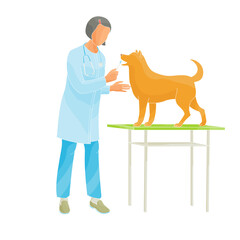 female veterinarian checking dog's teeth