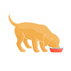 puppy eating from a bowl