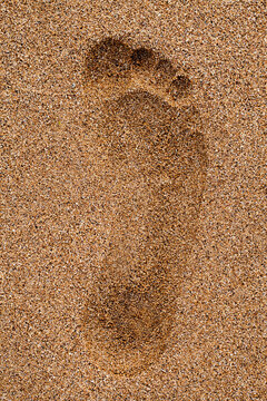 Footprint of childs in sand close-up, top view, one, right foot