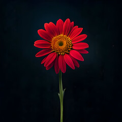 Dive into the mesmerizing world of botanical contrast with this captivating AI-generated image. A vibrant, impeccably detailed flower takes center stage, boldly bursting forth from a profound abyss of