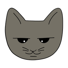 The Thai silver blue cat  02-09-2023