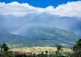 Fototapeta premium The West Maui Mountains sit still as clouds roll in from the coast and palm tress bend in high winds