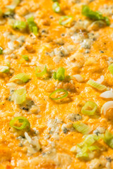Homemade Warm Buffalo Chicken Dip