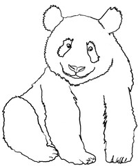 Smiling friendly panda for kids and teenagers