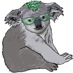 Smiling friendly koala for kids and teenagers