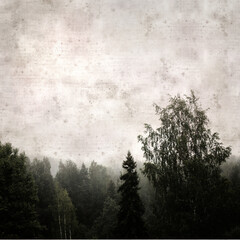 stylish textured old paper background with forest of spruces in Finland in misty conditions