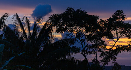Evening view through the canopy of leaves of a valley in Costa Rica during sunset