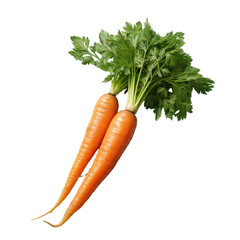 Carrot against transparent background