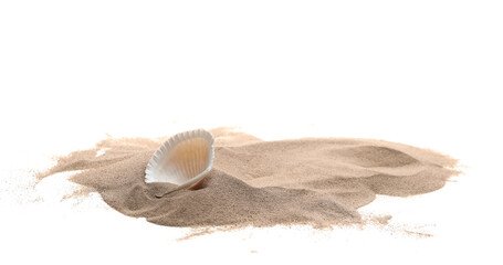 Seashell in sand pile isolated on white background © dule964