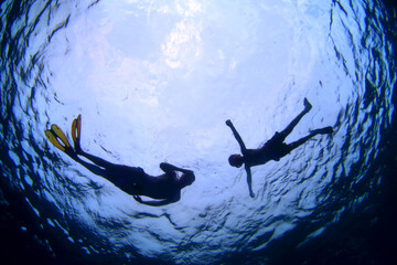 Snorkeling en la superficie