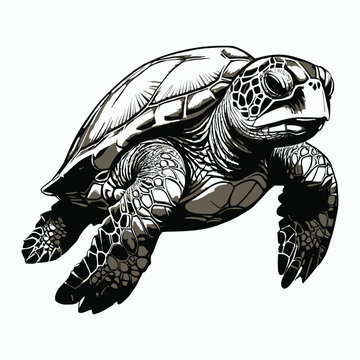 Sketchy Tribal Sea Turtle Drawing