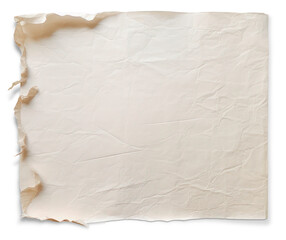 thin sheet of paper on a transparent background, torn, frayed edges
