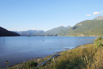 Fototapeta na wymiar Pitt Lake - Grant Narrows Regional Park in Pitt Meadows, British Columbia, Canada