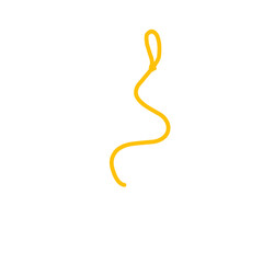 Obraz premium yellow noose