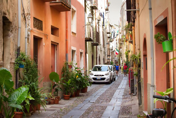 Sardinian street lined with flowers and plants, narrow alley