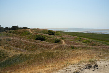 Auf den Dünen der Insel Fanö in Dänemark an der Nordsee