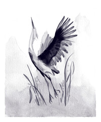 STORK PREPARING TO FLY WITH HIS WINGS SPREAD WATER COLOR ILLUSTRATION