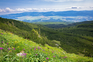 Fototapeta na wymiar Beautiful view from Tatra Mountains over a valley in northern Slovakia