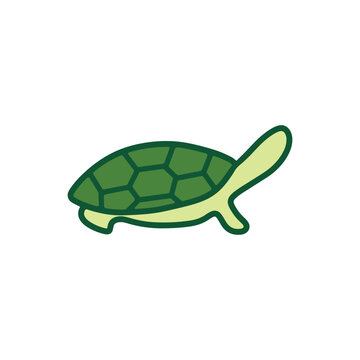 Turtle logo design. Animal icon illustration