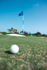 Fototapeta premium Pelota de Golf, Jugador de Golf, Campo de Golf