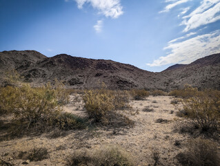 Joshua Tree National Park
