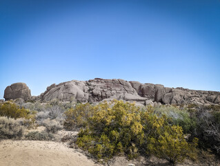 Joshua Tree National Park