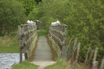 bridge over river