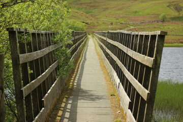 wooden bridge in the forest