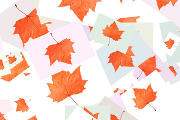 Autumn leaves and colorful rectangles on transparent background.