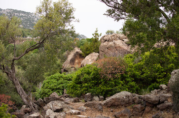 Typical Mediterranean landscape rock and bushes in summer