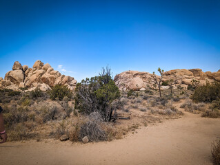 Joshua Tree National Park Desert Rock Formations