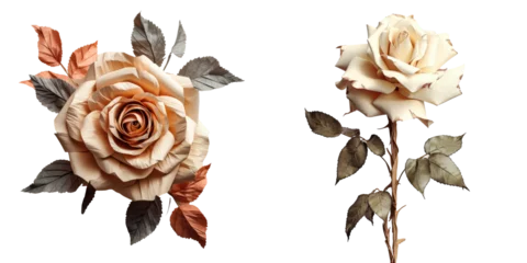 Foto op Aluminium Wood and birch bark rose flower isolated on transparent background © 2rogan