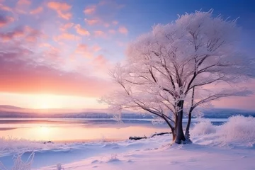 Fototapeten Beautiful Winter landscape  - stock concepts © 4kclips