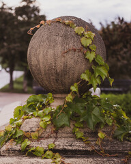 vines on stone