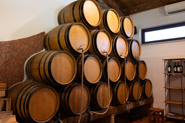 White, rose and red dry and sweet wines in big and small barrels for sale in wine cellars in Italy