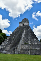 Fototapeta na wymiar The Great Jaguar Tikal