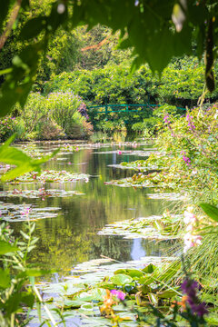 The water lily pond in the garden at the home of Claude Monet in Giverny, Normandy, Eure, France